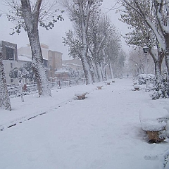 nieve 14 - 12 - 09 086